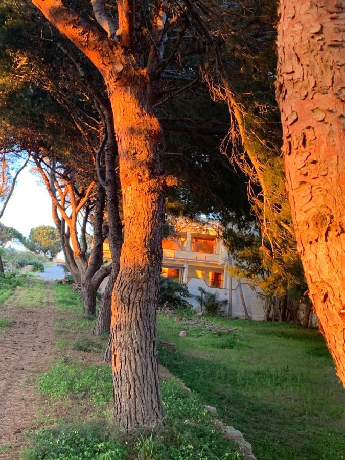 Mediterraneo Triscina Ngoại thất bức ảnh