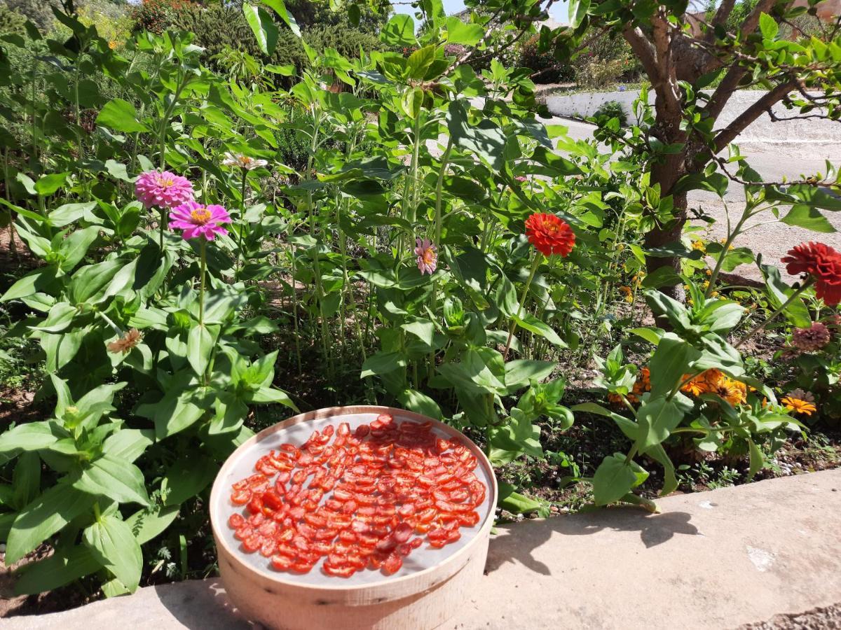Mediterraneo Triscina Ngoại thất bức ảnh